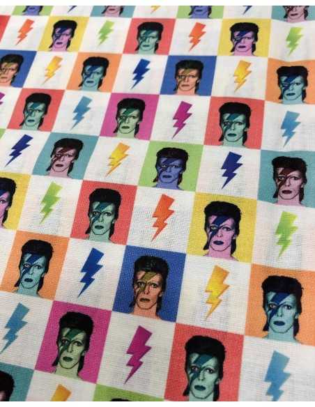 Mascarilla Pop Art Collection (David Bowie)
