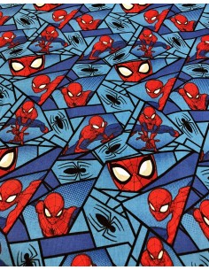 Spiderman Comic