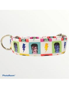 Collar David Bowie (Pop Collection)